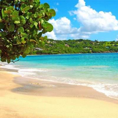 A股收盘：全市场超4800只个股上涨